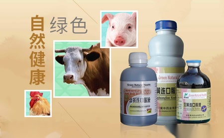 冀中兽药 以品质护航动物健康，助力养殖业绿色发展
