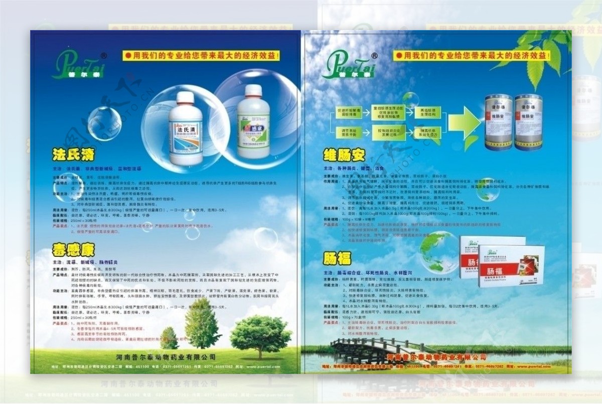 兽药单页图片设计 关键要素与视觉表达技巧指南